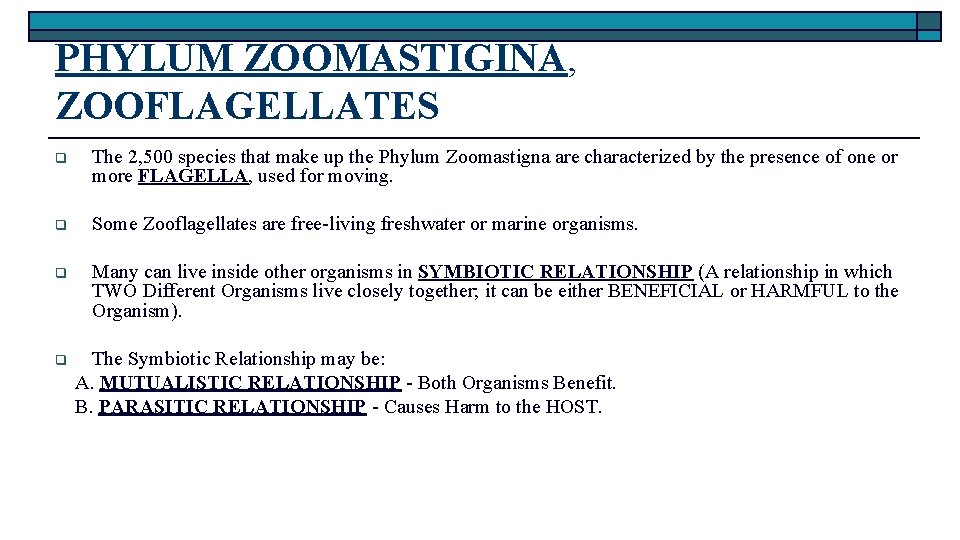 PHYLUM ZOOMASTIGINA, ZOOFLAGELLATES q The 2, 500 species that make up the Phylum Zoomastigna