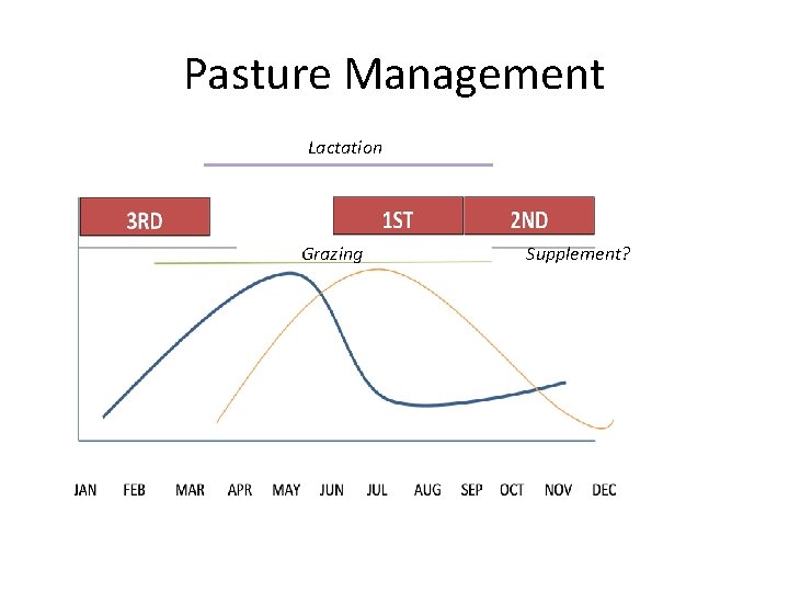 Pasture Management Lactation Grazing Supplement? 