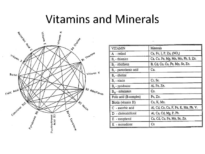 Vitamins and Minerals 