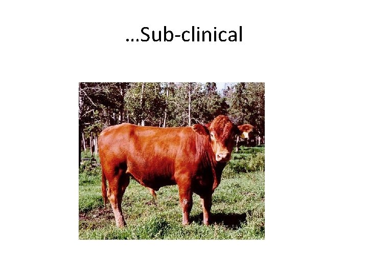…Sub-clinical 