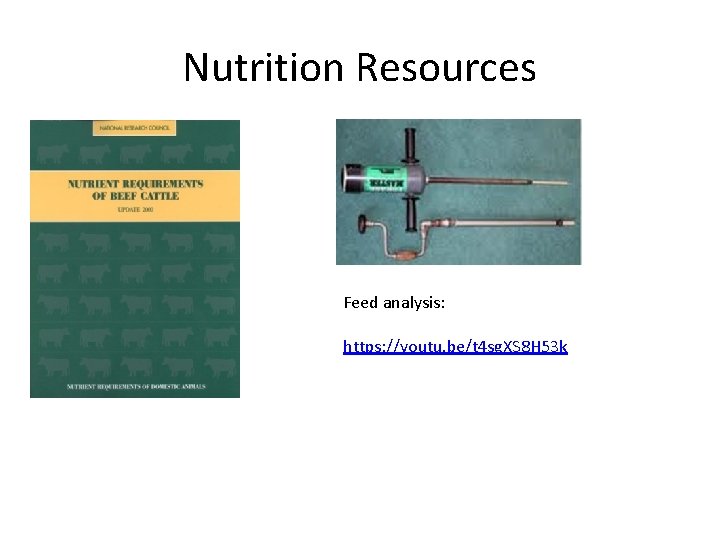 Nutrition Resources Feed analysis: https: //youtu. be/t 4 sg. XS 8 H 53 k