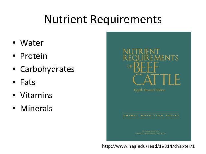 Nutrient Requirements • • • Water Protein Carbohydrates Fats Vitamins Minerals http: //www. nap.