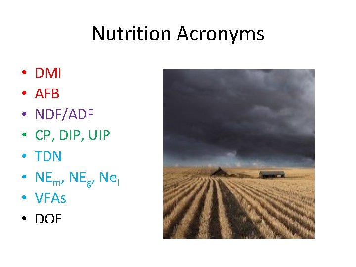 Nutrition Acronyms • • DMI AFB NDF/ADF CP, DIP, UIP TDN NEm, NEg, Nel