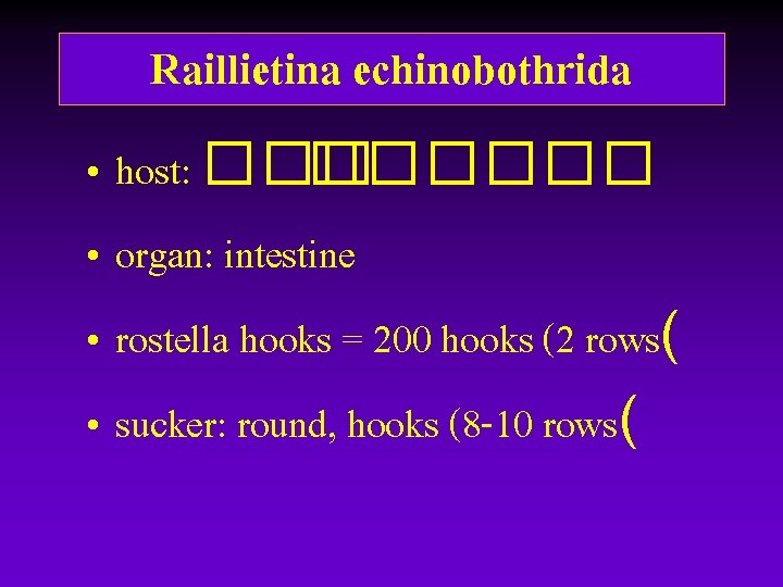 Raillietina echinobothrida • host: ������ • organ: intestine • rostella hooks = 200 hooks Raillietina echinobothrida • host: ������ • organ: intestine • rostella hooks = 200 hooks