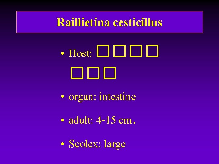 Raillietina cesticillus • Host: ���� • organ: intestine • adult: 4 -15 cm. • Raillietina cesticillus • Host: ���� • organ: intestine • adult: 4 -15 cm. •