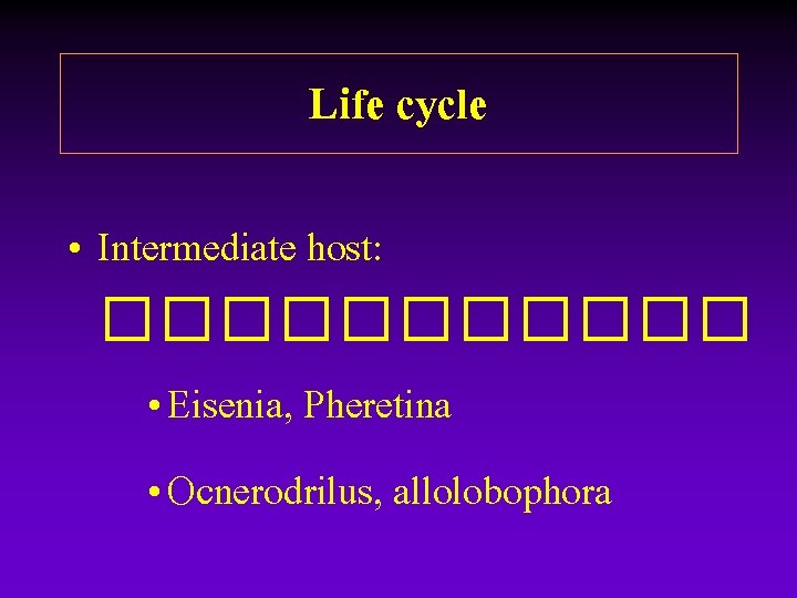 Life cycle • Intermediate host: ������ • Eisenia, Pheretina • Ocnerodrilus, allolobophora Life cycle • Intermediate host: ������ • Eisenia, Pheretina • Ocnerodrilus, allolobophora