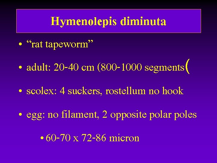 Hymenolepis diminuta • “rat tapeworm” • adult: 20 -40 cm (800 -1000 segments( • Hymenolepis diminuta • “rat tapeworm” • adult: 20 -40 cm (800 -1000 segments( •