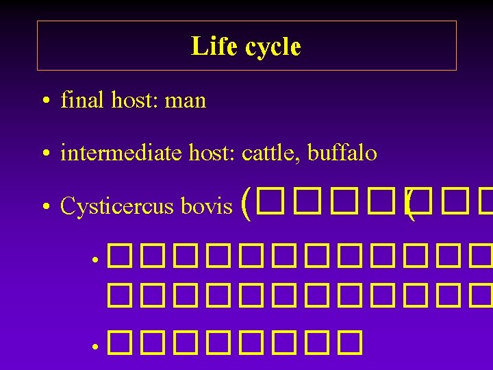 Life cycle • final host: man • intermediate host: cattle, buffalo • Cysticercus bovis Life cycle • final host: man • intermediate host: cattle, buffalo • Cysticercus bovis