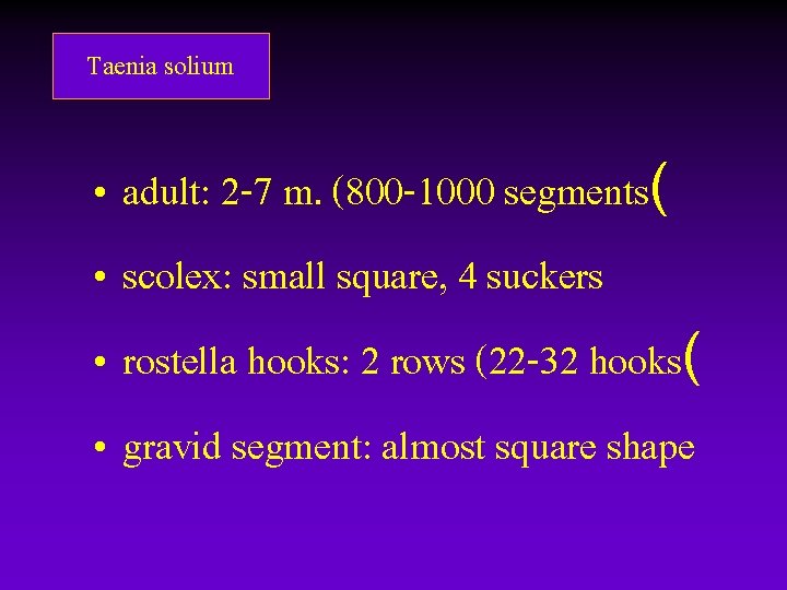 Taenia solium • adult: 2 -7 m. (800 -1000 segments( • scolex: small square, Taenia solium • adult: 2 -7 m. (800 -1000 segments( • scolex: small square,