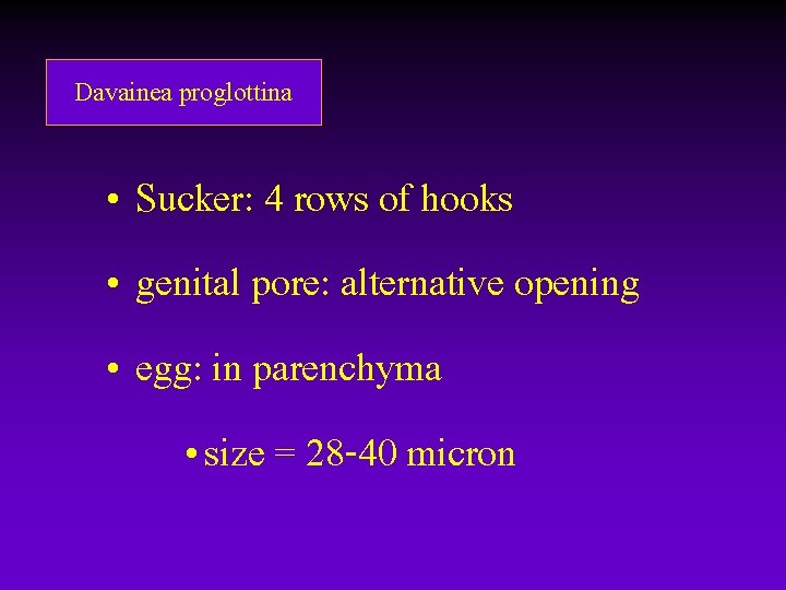 Davainea proglottina • Sucker: 4 rows of hooks • genital pore: alternative opening • Davainea proglottina • Sucker: 4 rows of hooks • genital pore: alternative opening •