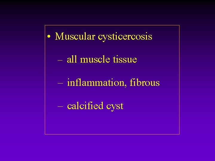 • Muscular cysticercosis – all muscle tissue – inflammation, fibrous – calcified cyst • Muscular cysticercosis – all muscle tissue – inflammation, fibrous – calcified cyst