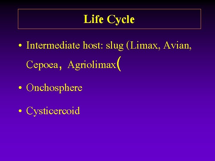 Life Cycle • Intermediate host: slug (Limax, Avian, Cepoea, Agriolimax( • Onchosphere • Cysticercoid Life Cycle • Intermediate host: slug (Limax, Avian, Cepoea, Agriolimax( • Onchosphere • Cysticercoid