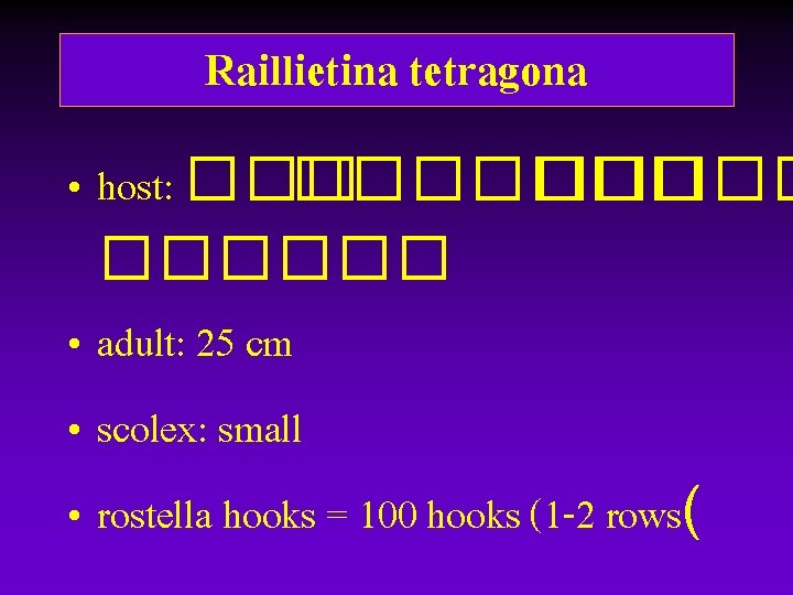 Raillietina tetragona • host: ������� • adult: 25 cm • scolex: small • rostella Raillietina tetragona • host: ������� • adult: 25 cm • scolex: small • rostella
