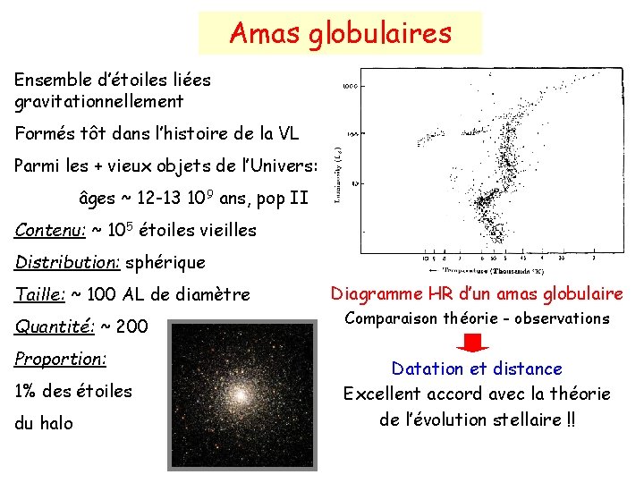 Amas globulaires Ensemble d’étoiles liées gravitationnellement Formés tôt dans l’histoire de la VL Parmi