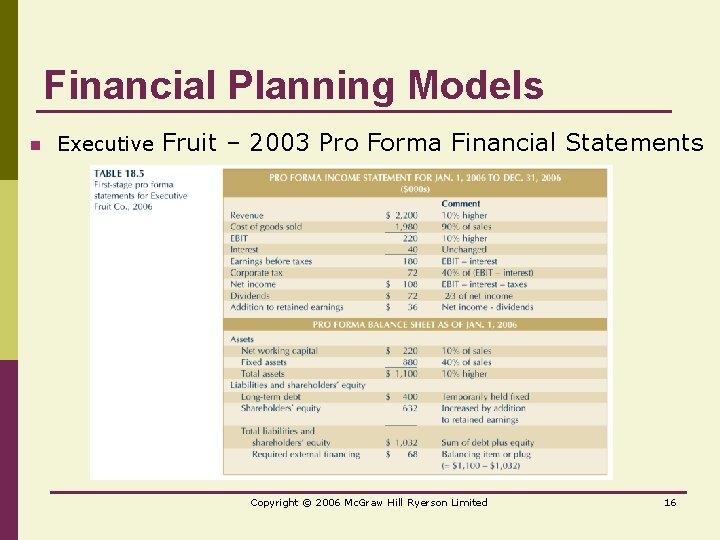 Financial Planning Models n Executive Fruit – 2003 Pro Forma Financial Statements Copyright ©