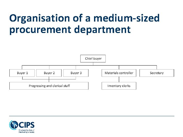 Organisation of a medium-sized procurement department 