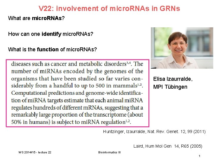 V 22: involvement of micro. RNAs in GRNs What are micro. RNAs? How can