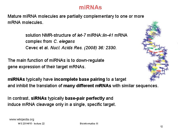 mi. RNAs Mature mi. RNA molecules are partially complementary to one or more m.