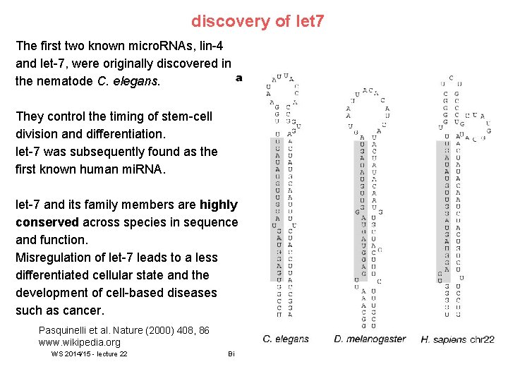 discovery of let 7 The first two known micro. RNAs, lin-4 and let-7, were
