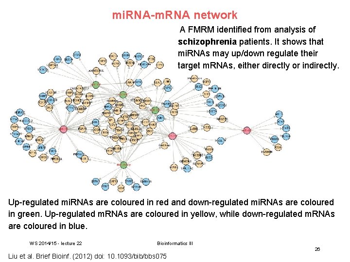 mi. RNA-m. RNA network A FMRM identified from analysis of schizophrenia patients. It shows