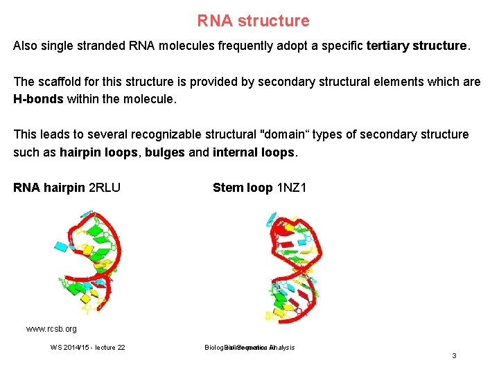 RNA structure Also single stranded RNA molecules frequently adopt a specific tertiary structure. The