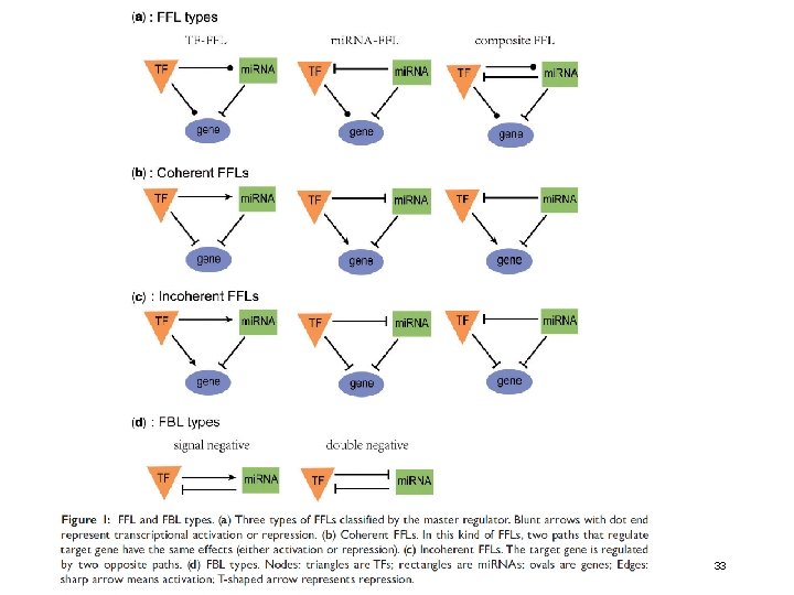 WS 2014/15 - lecture 22 Bioinformatics III 33 