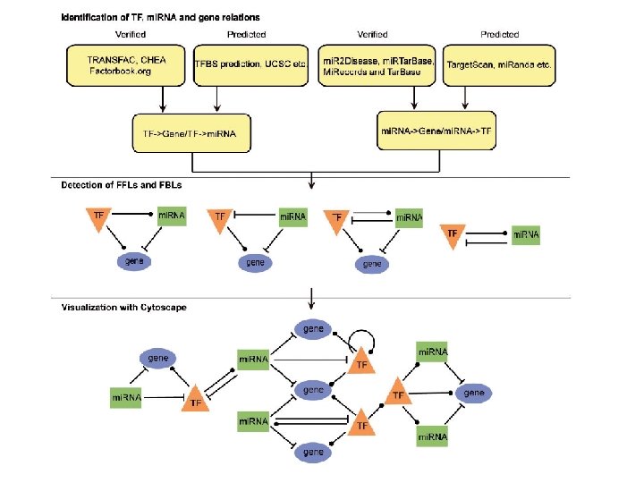 WS 2014/15 - lecture 22 Bioinformatics III 34 