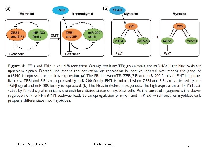 WS 2014/15 - lecture 22 Bioinformatics III 36 