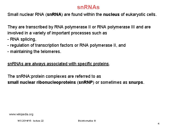 sn. RNAs Small nuclear RNA (sn. RNA) are found within the nucleus of eukaryotic