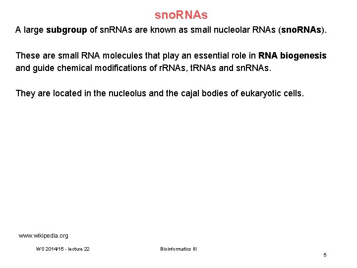 sno. RNAs A large subgroup of sn. RNAs are known as small nucleolar RNAs