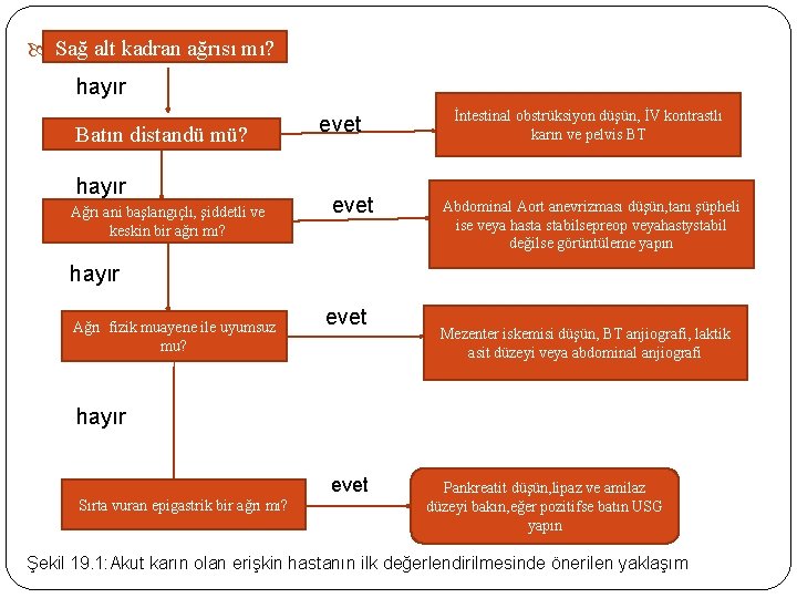 Sağ alt kadran ağrısı mı? mezenter hayır Batın distandü mü? hayır Ağrı ani başlangıçlı,