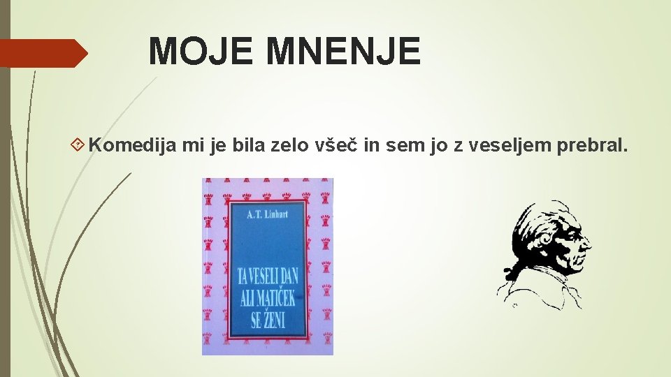 MOJE MNENJE Komedija mi je bila zelo všeč in sem jo z veseljem prebral.