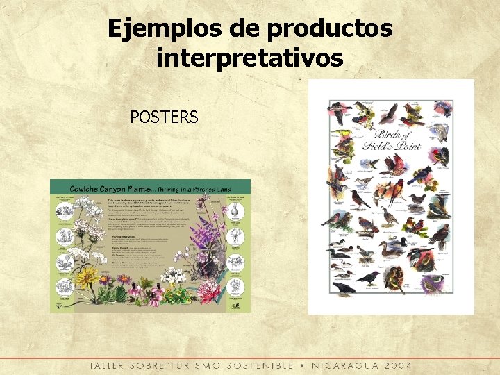 Ejemplos de productos interpretativos POSTERS 