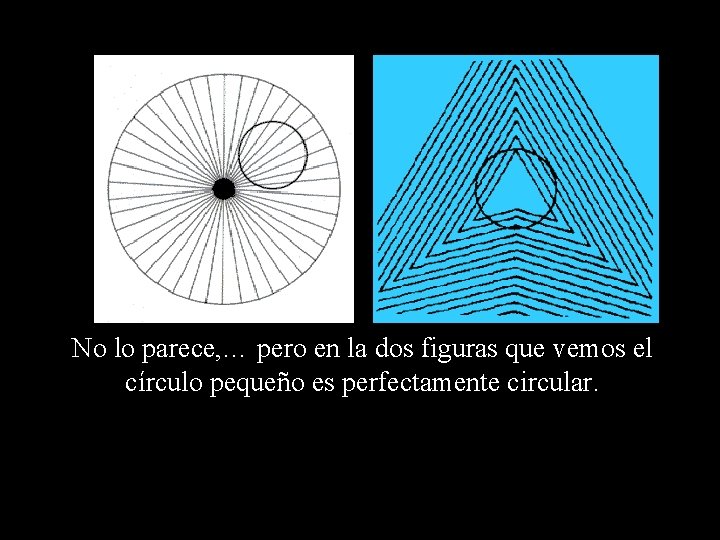 No lo parece, … pero en la dos figuras que vemos el círculo pequeño