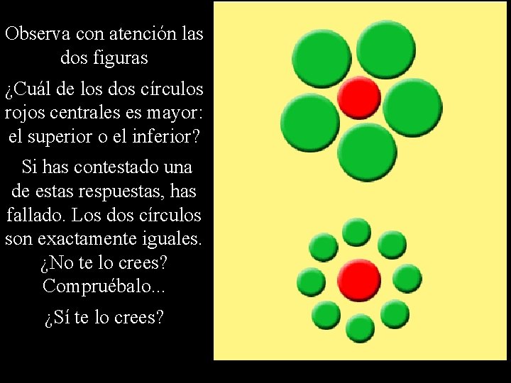 Observa con atención las dos figuras ¿Cuál de los dos círculos rojos centrales es