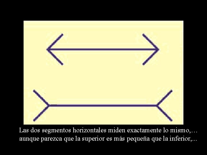 Las dos segmentos horizontales miden exactamente lo mismo, … aunque parezca que la superior