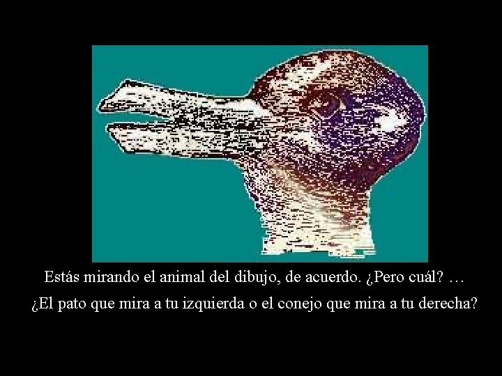 Estás mirando el animal del dibujo, de acuerdo. ¿Pero cuál? … ¿El pato que