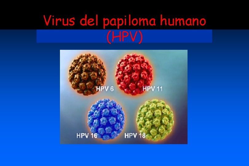 Virus del papiloma humano (HPV) 