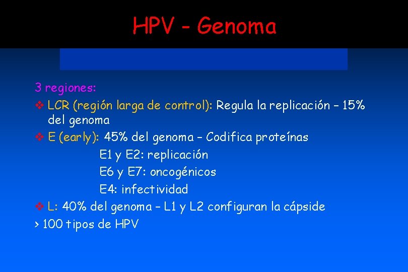 HPV - Genoma 3 regiones: v LCR (región larga de control): Regula la replicación