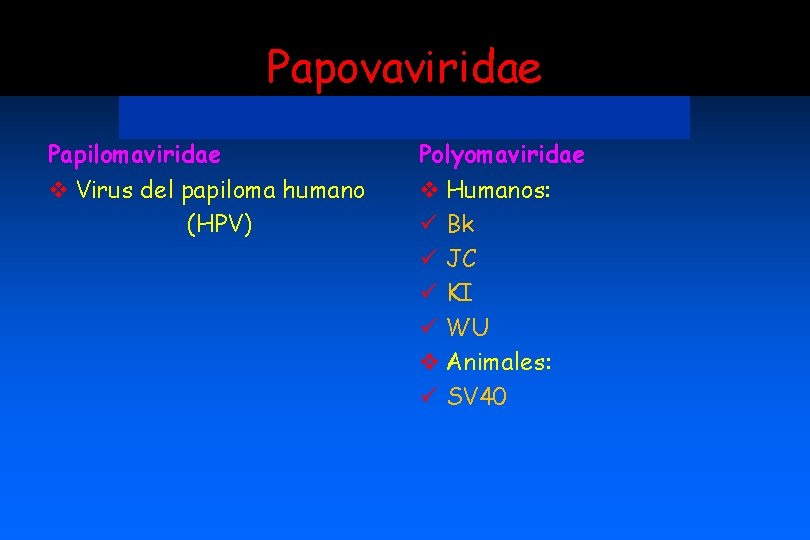 Papovaviridae Papilomaviridae v Virus del papiloma humano (HPV) Polyomaviridae v Humanos: ü Bk ü