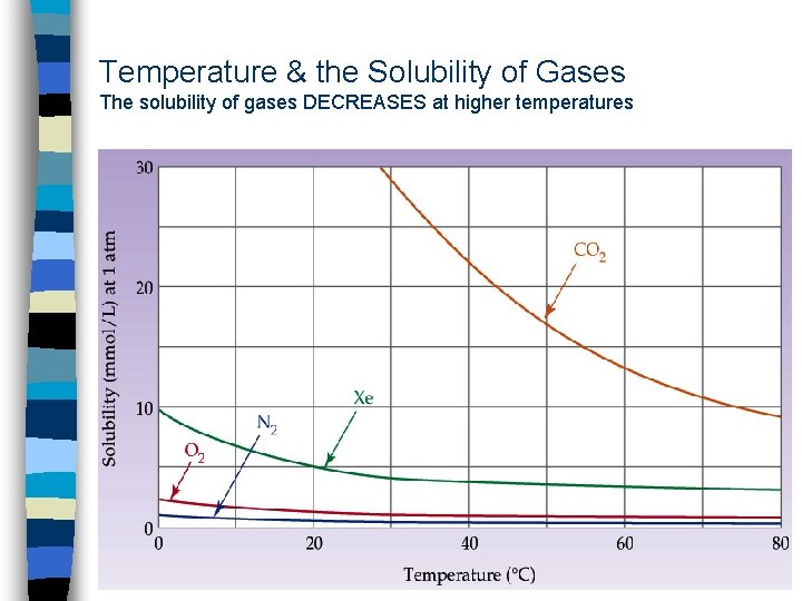 Temperature & the Solubility of Gases The solubility of gases DECREASES at higher temperatures