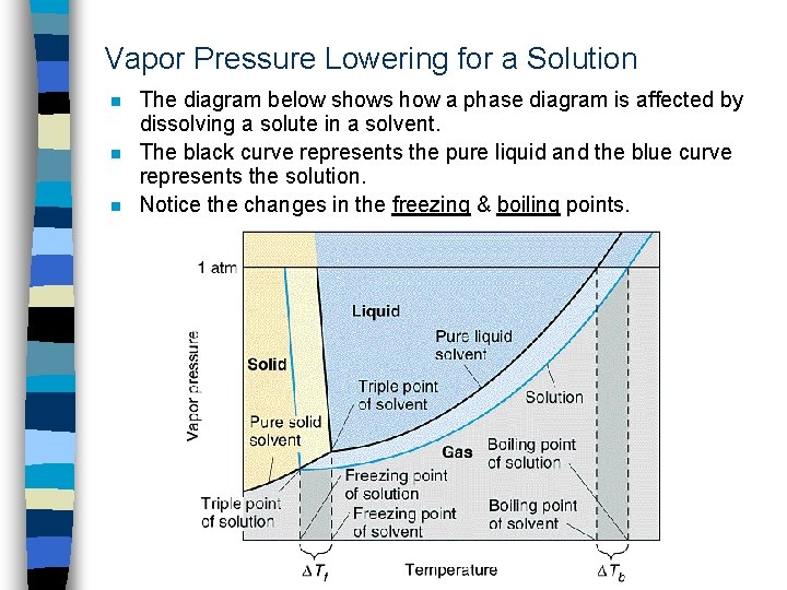 Vapor Pressure Lowering for a Solution n The diagram below shows how a phase