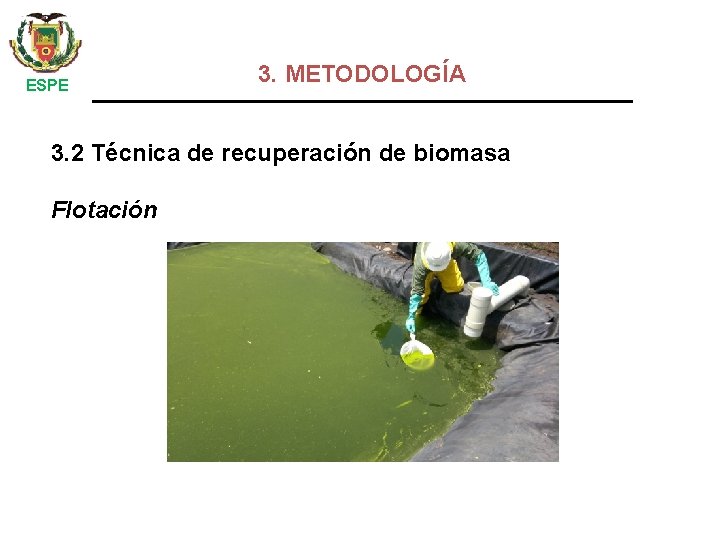  ESPE 3. METODOLOGÍA 3. 2 Técnica de recuperación de biomasa Flotación 