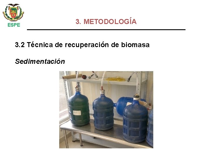  ESPE 3. METODOLOGÍA 3. 2 Técnica de recuperación de biomasa Sedimentación 