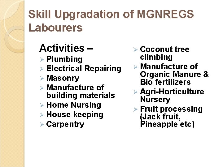 Skill Upgradation of MGNREGS Labourers Activities – Ø Plumbing Ø Electrical Repairing Ø Masonry