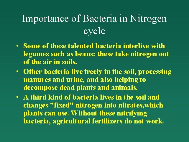 Importance of Bacteria in Nitrogen cycle • Some of these talented bacteria interlive with