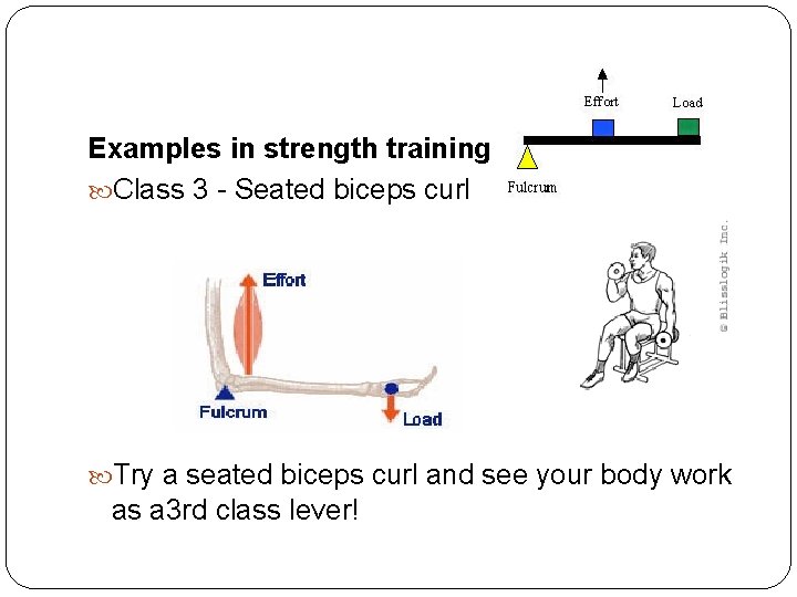 Examples in strength training Class 3 - Seated biceps curl Try a seated biceps