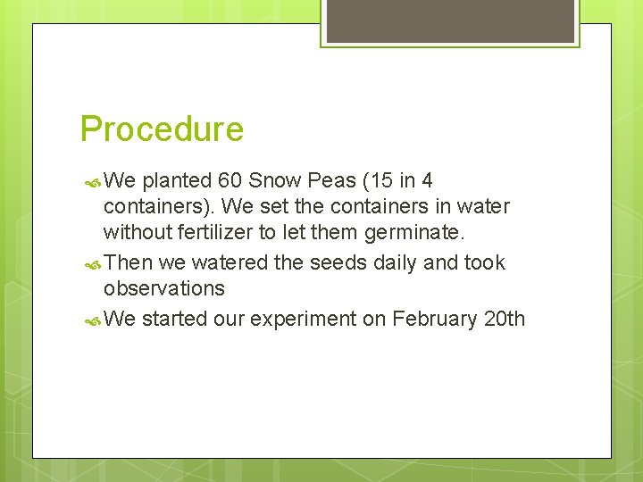 Procedure We planted 60 Snow Peas (15 in 4 containers). We set the containers