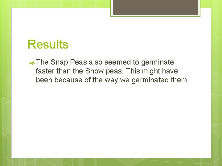 Results The Snap Peas also seemed to germinate faster than the Snow peas. This
