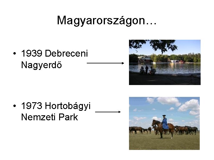 Magyarországon… • 1939 Debreceni Nagyerdő • 1973 Hortobágyi Nemzeti Park 